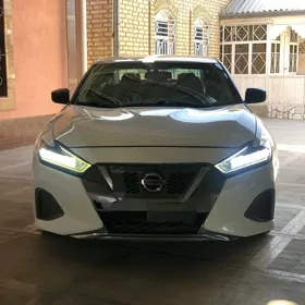 Nissan Maxima 2019