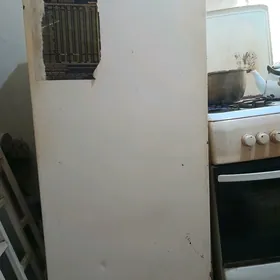 Holadilnik rasiýski