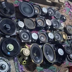 MUZIKALNI KALONKA BASS