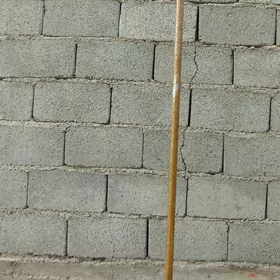 wesilka esik asylyan