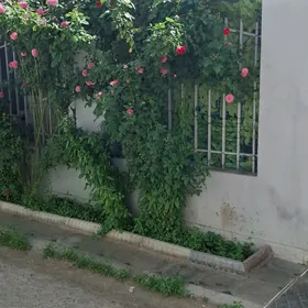 мини котедж