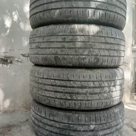 Minerva 255 55 19 Kamplekt