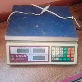 Satlyk elektronnye very