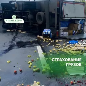 Страхование грузов