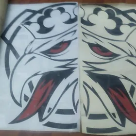 skanie nakleŷka kabina