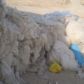 Parnik klyonka we latok