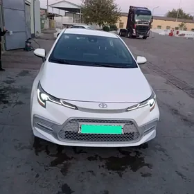 Toyota Corolla 2020