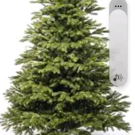 tàzeÿyl arçasy, èlka,