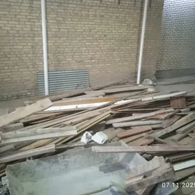 POLUK AGAC STRAPILA CEREPNOY