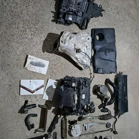 taze haylander, camry, carolla