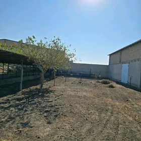 ferma maldarcylyk ucin