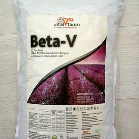 Beta-V mikroelement