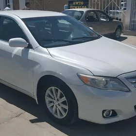Toyota Camry 2009