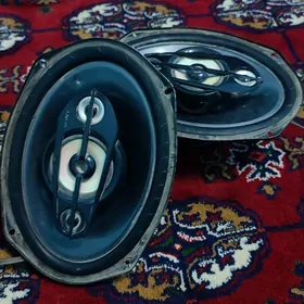 Arginal Sony kalonka peçatly