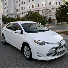 Toyota Corolla 2019