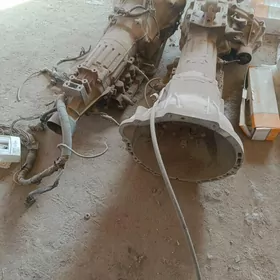 Karopka hemde beyleki zapçasl