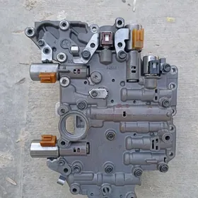 Duty karopka mozgi (mazgi)