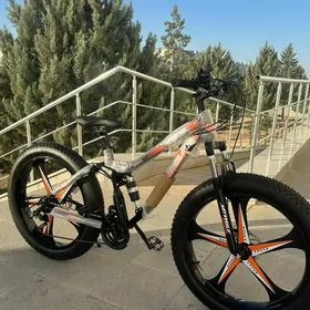 TIGIR SKEYT SAMAKAT KALYASGA