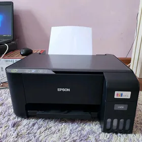 Epson 3210