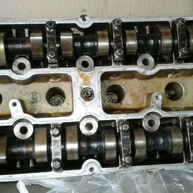 галовка зафира