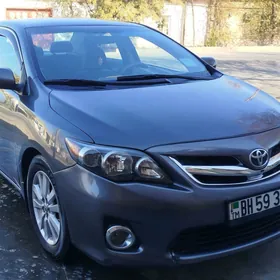 Toyota Corolla 2009
