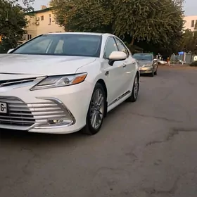 Toyota Camry 2019