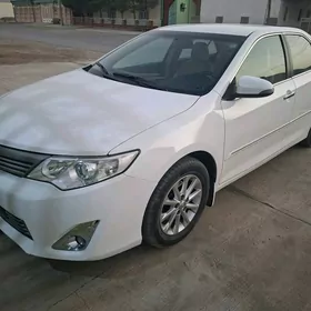 Toyota Camry 2013