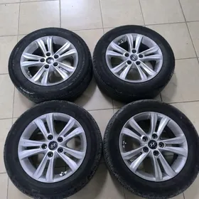 16disga pokrysga taze