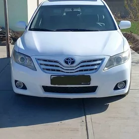 Toyota Camry 2010