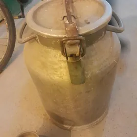 flyaga coyundan orsynky