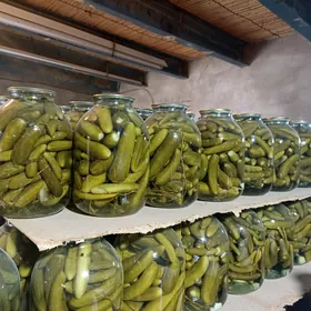 СОЛЕНЫЕ ОГУРЦЫ SALÝONLY HYÝAR