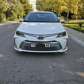 Toyota Corolla 2023