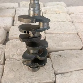 tikoni  walitikoni  wali