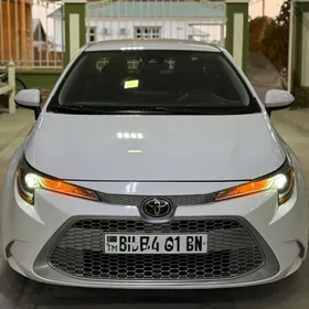 Toyota Corolla 2020