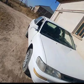 Toyota Corolla 1993