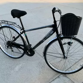 Tigir 27lik yaponsky