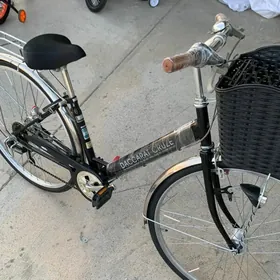 Tigir yaponsky 27lik