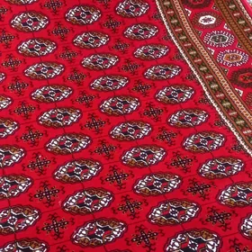 palata üçin haly 5/3