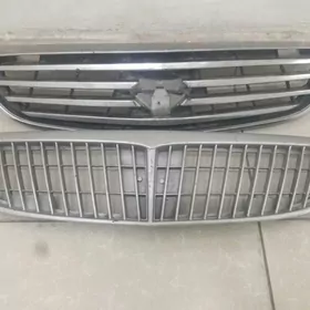 Oblisowka Maksima maxima