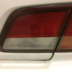 максима ыз стопник