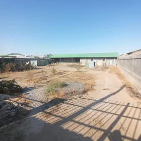 Satlyk Magtymguly 16 Sotyk Jaý