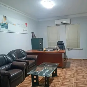 Mir6 mebelli ofis podwalda