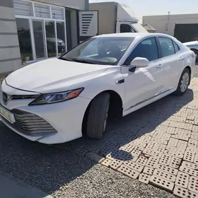 Toyota Camry 2019