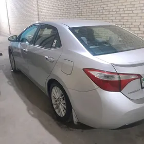 Toyota Corolla 2014