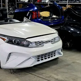 Kia Hyundai Mator Karopka Morda