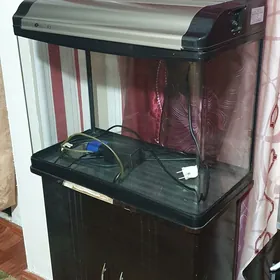 Продам Аквариум.