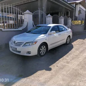 Toyota Camry 2010