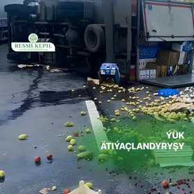 Ýük daşaýjylara ätiýaçlandyryş