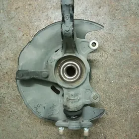 Karolla stupisa kulak