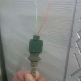 пахмель датчик